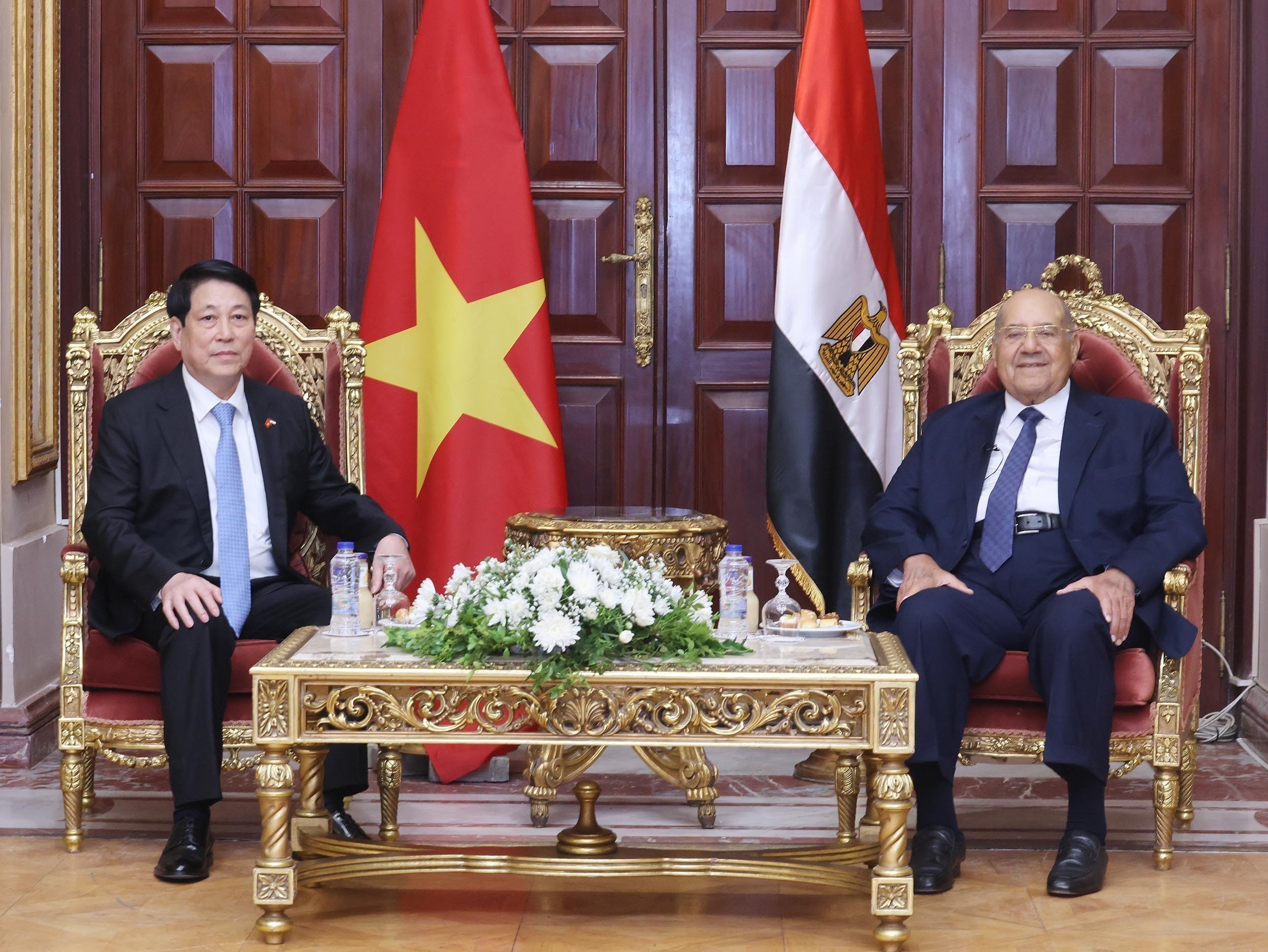 Chủ tịch nước Lương Cường hội kiến Chủ tịch Hạ viện, Thượng Viện Ai Cập - Ảnh 6. Chủ tịch nước Lương Cường hội kiến Chủ tịch Hạ viện, Thượng Viện Ai Cập - Ảnh 6.