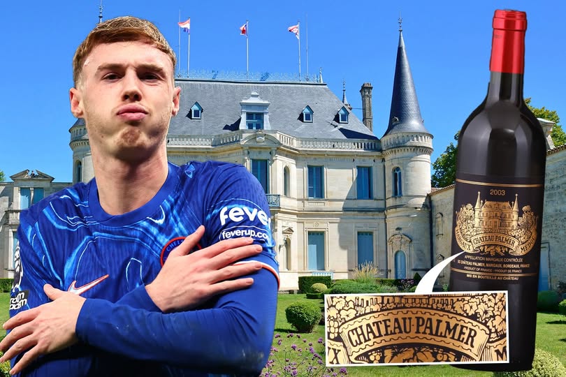 Ngôi sao Cole Palmer của Chelsea thua kiện hãng rượu - Ảnh 1.