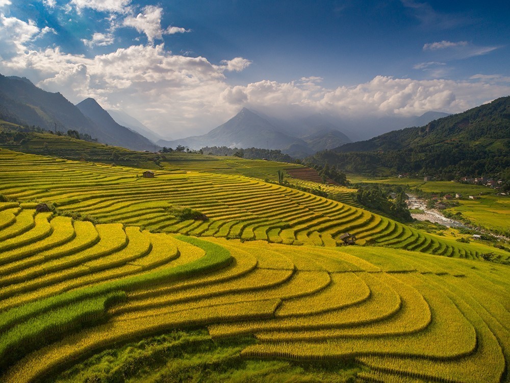 TIÊU ĐIỂM TRONG NGÀY: Hành trình Xanh - Ảnh 1.