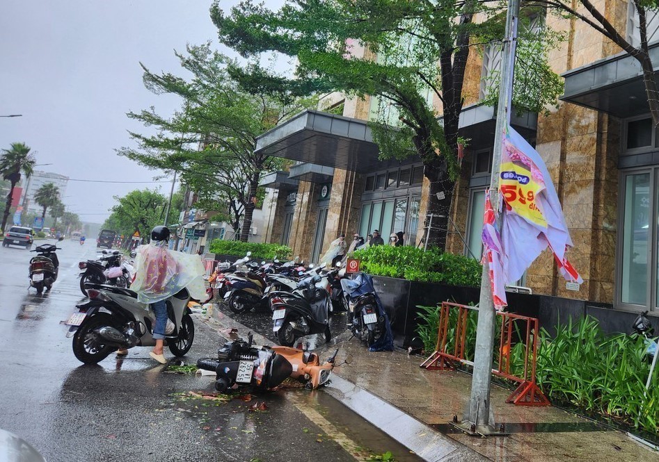 Huế: Nhiều cây xanh, phương tiện đổ ngã do ảnh hưởng cơn bão số 10 - Ảnh 1.