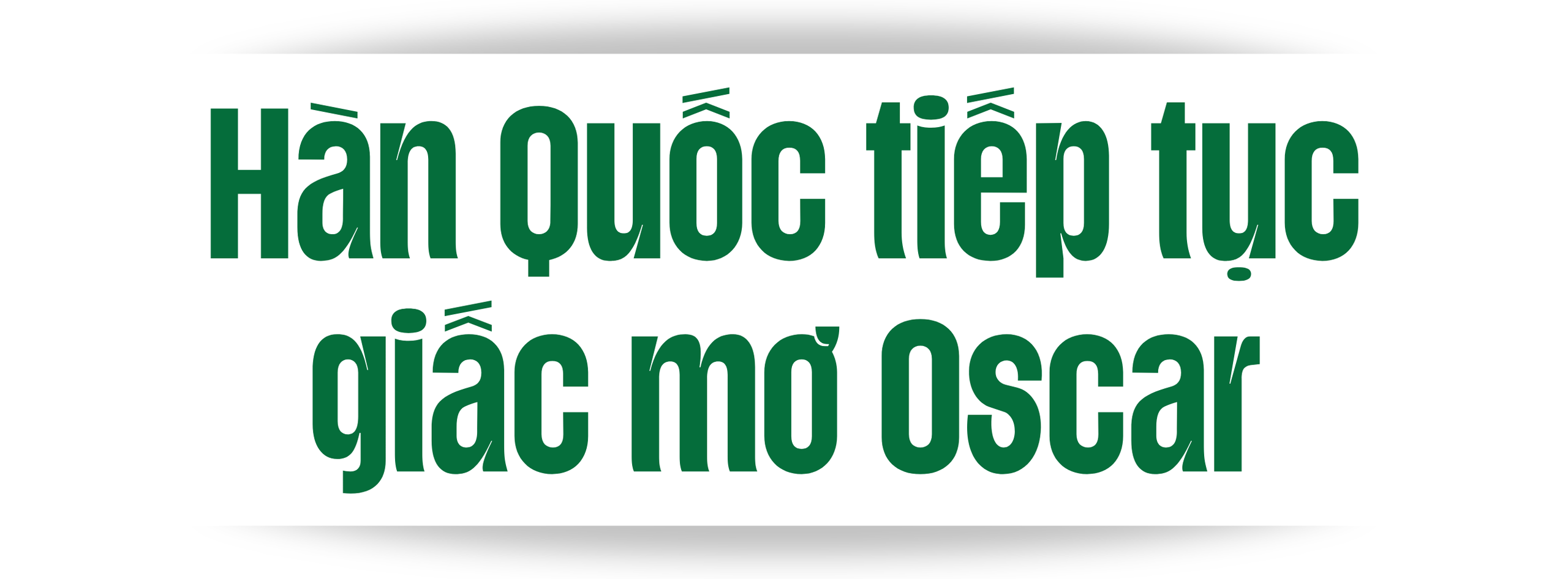 &quot;No Other Choice&quot; đại diện Hàn Quốc và chiến lược &quot;auteur-driven&quot; tại Oscar - Ảnh 1.