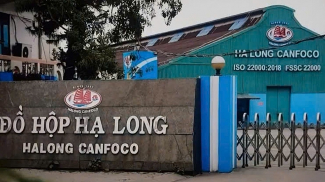 Bắt khẩn cấp Tổng Giám đốc Công ty Cổ phần đồ hộp Hạ Long