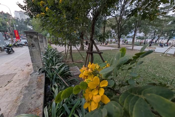 Góc nhìn 365: Năm mới và công viên mới - Ảnh 1.