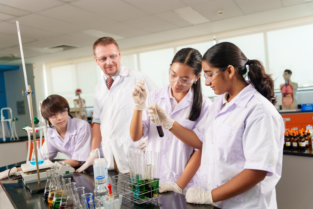 Trường Quốc tế Châu Âu TP.HCM chính thức đạt kiểm định quốc tế WASC - Ảnh 2.