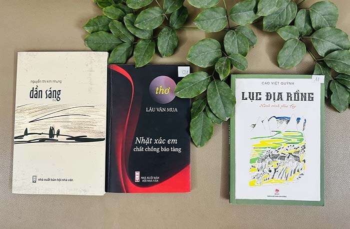 Hội Nhà văn Việt Nam thu hồi một Giải thưởng Tác giả trẻ vì vi phạm quy chế - Ảnh 1.