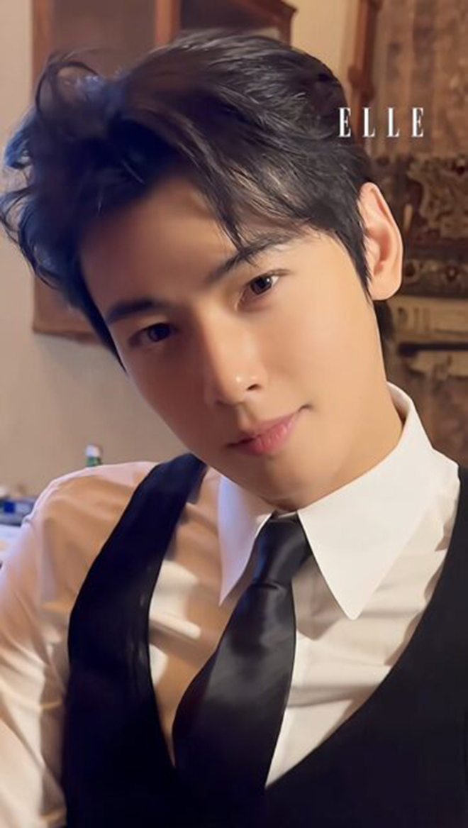 Cha Eun Woo dính nghi án trốn thuế 340 tỷ đồng: Các thương hiệu vội vàng "cắt đứt" - Ảnh 3. Cha Eun Woo dính nghi án trốn thuế 340 tỷ đồng: Các thương hiệu vội vàng "cắt đứt" - Ảnh 3.