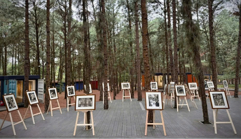 FPT Polytechnic đa dạng hóa hoạt động trải nghiệm, nâng cao năng lực cho sinh viên - Ảnh 6.