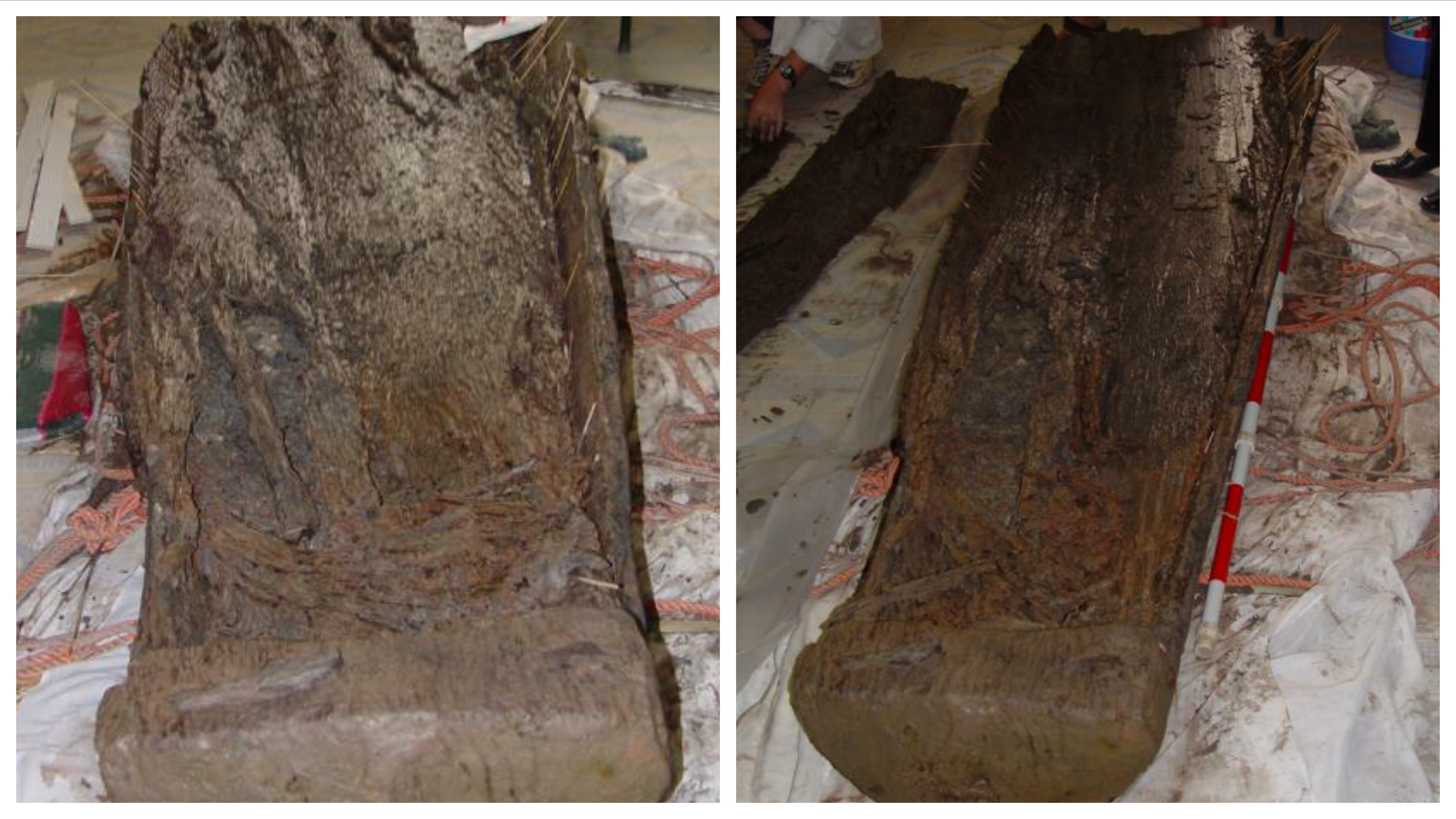 Chiếc thuyền khảo cổ học Đông Sơn đầu tiên