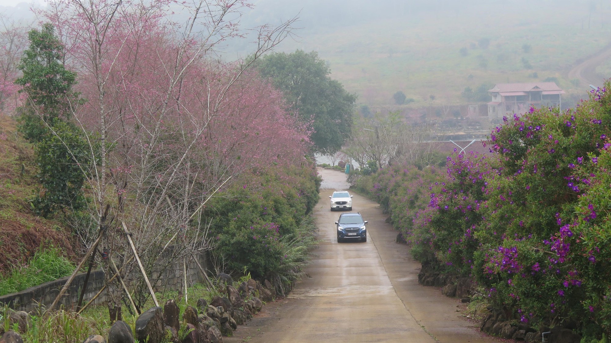 Vì một miền quê đáng sống: Măng Đen giữa đại ngàn Tây Nguyên níu chân lữ khách