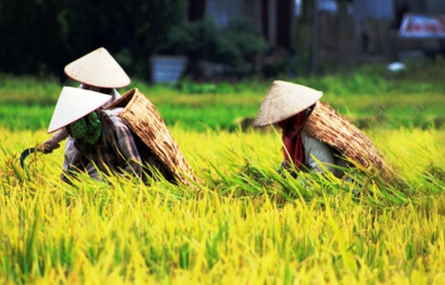 Chữ và nghĩa: Già cũng có ba, bảy kiểu già - Ảnh 1.