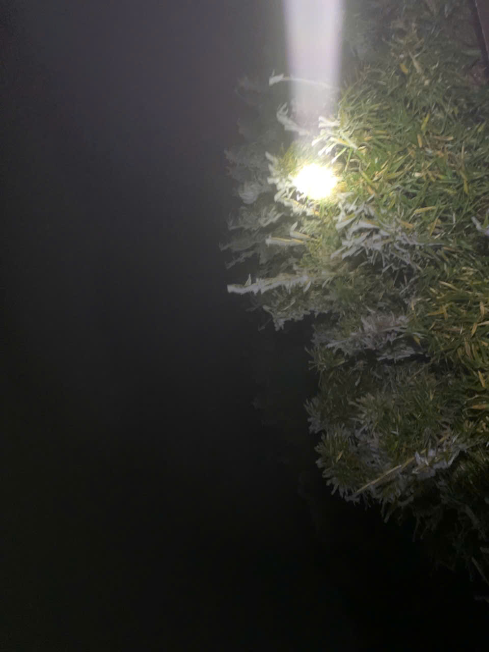  Băng tuyết trên đỉnh Fansipan (Sa Pa) - Ảnh 3.