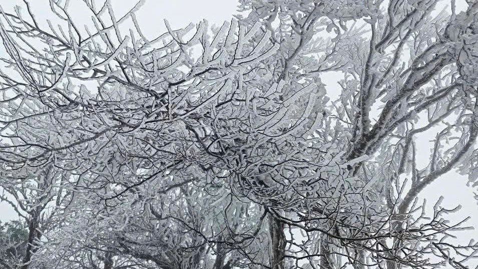 Dự báo thời tiết đêm 6/1, ngày 7/1: Xuất hiện rét hại ở một số nơi