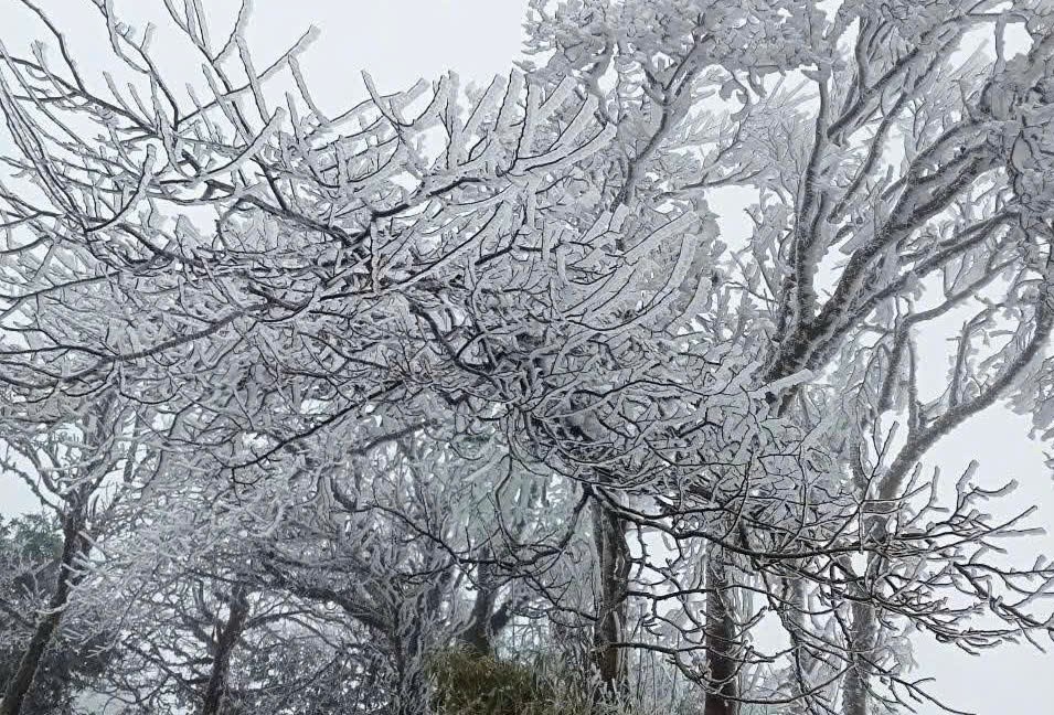 Thời tiết đêm 6/1, ngày 7/1: Xuất hiện rét hại ở một số nơi - Ảnh 2.