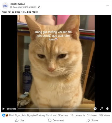 Insight Gen Z - Nơi người trẻ tìm đến tiếng cười sau một ngày làm việc vất vả - Ảnh 4. Insight Gen Z - Nơi người trẻ tìm đến tiếng cười sau một ngày làm việc vất vả - Ảnh 4.