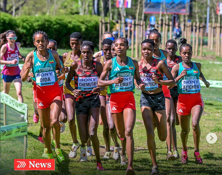 Ứng viên hàng đầu ở giải vô địch việt dã thế giới có thể trắng tay vì lý do bất ngờ - Ảnh 1. Ứng viên hàng đầu ở giải vô địch việt dã thế giới có thể trắng tay vì lý do bất ngờ - Ảnh 1.