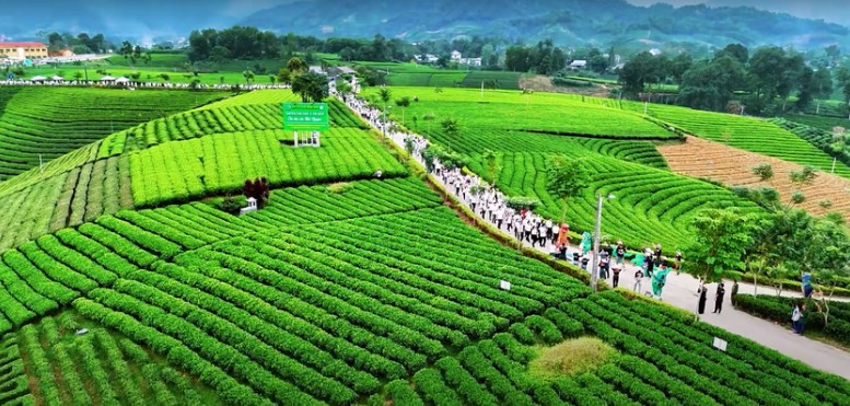 Festival Trà quốc tế Thái Nguyên: Từ "Đệ nhất danh trà" đến điểm nhấn du lịch - Ảnh 6. Festival Trà quốc tế Thái Nguyên: Từ "Đệ nhất danh trà" đến điểm nhấn du lịch - Ảnh 6.