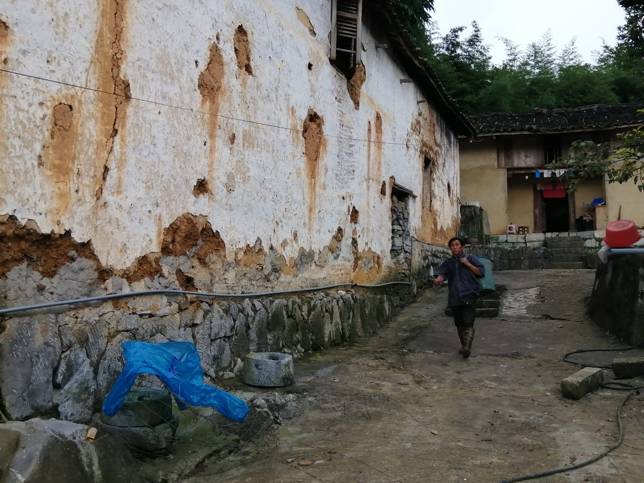 Ảnh 2 trong album