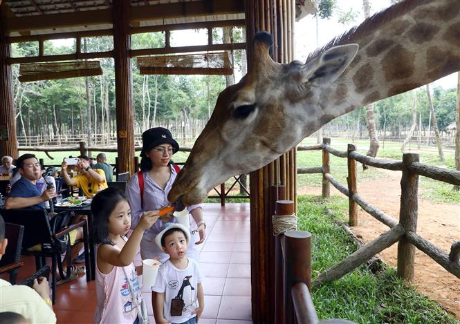 Ngăn chặn lừa đảo đặt phòng trực tuyến, bảo vệ thương hiệu du lịch Phú Quốc - Ảnh 2.