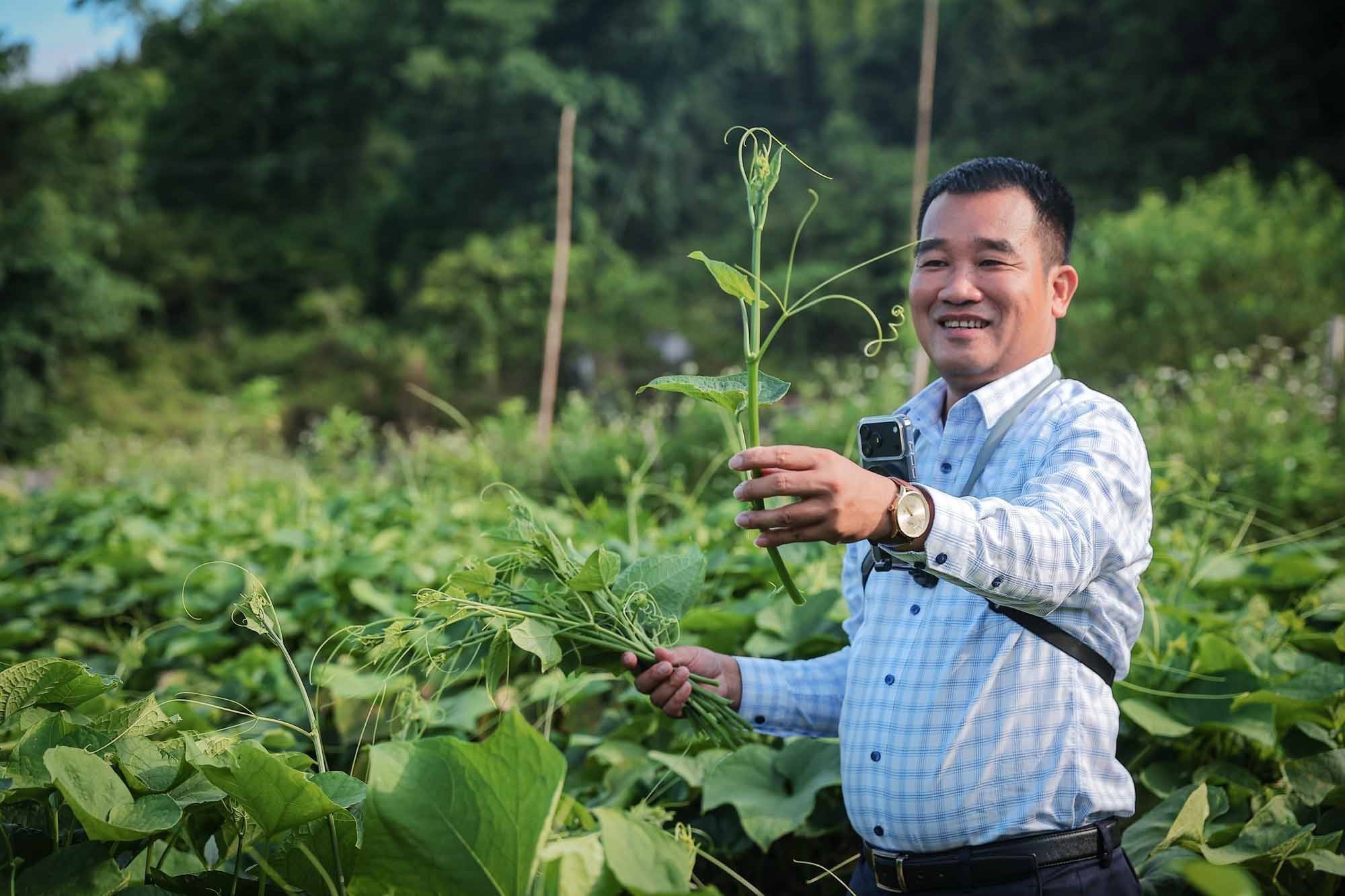 Trên vùng trồng su su, Bí thư xã Vân Sơn Nguyễn Duy Tư tranh thủ ghi lại hình ảnh thực tế để giới thiệu nông sản địa phương tới công chúng trên mạng xã hội. Ảnh: TTXVN
