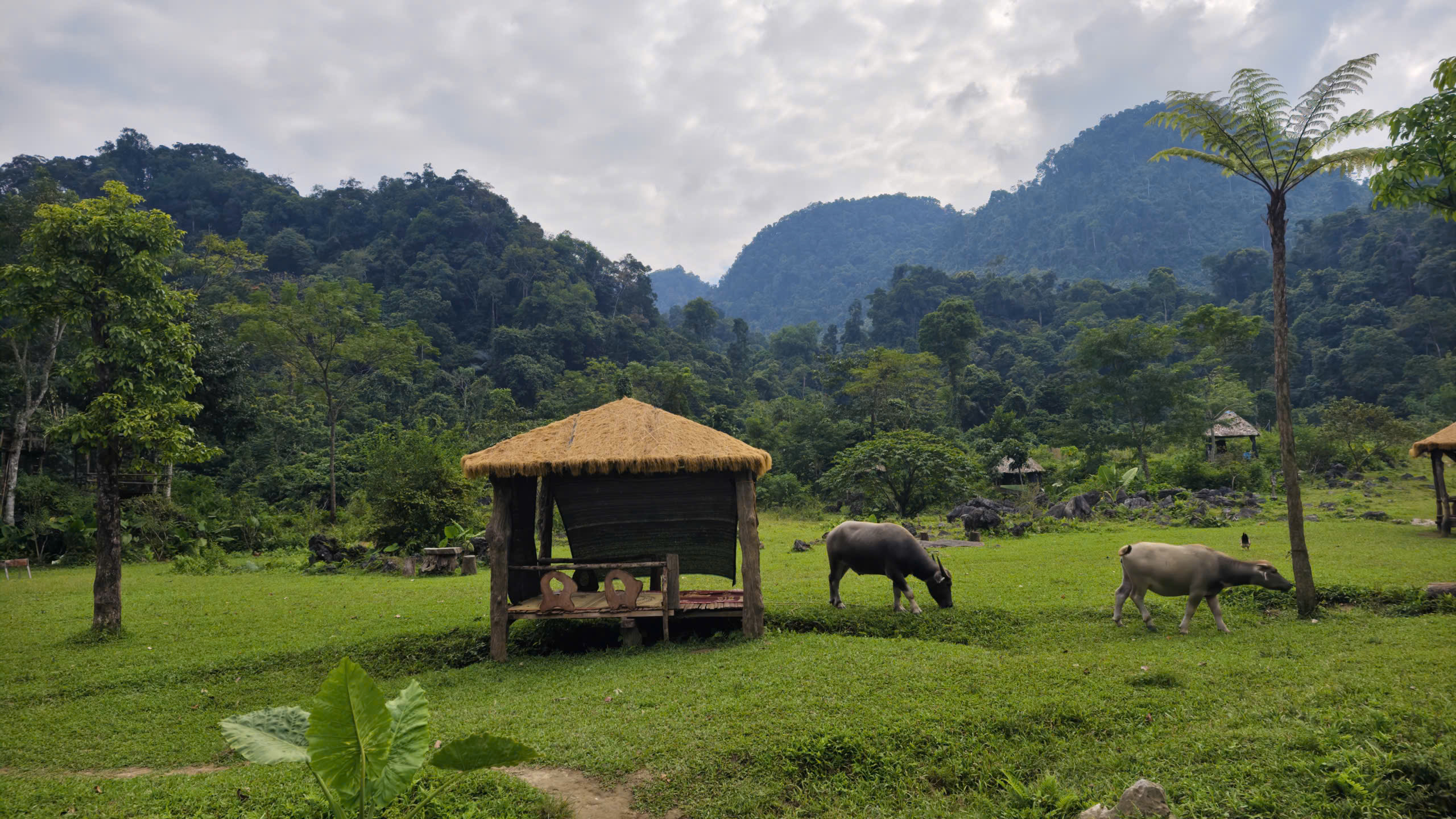 Bãi Pặng ở xã Vân Sơn, Phú Thọ được ví như “ốc đảo xanh” hoặc “thiên đường camping” giữa núi rừng nhờ cảnh quan thiên nhiên nguyên sơ và khí hậu mát mẻ. Ảnh: Huy Thông - ảnh 3