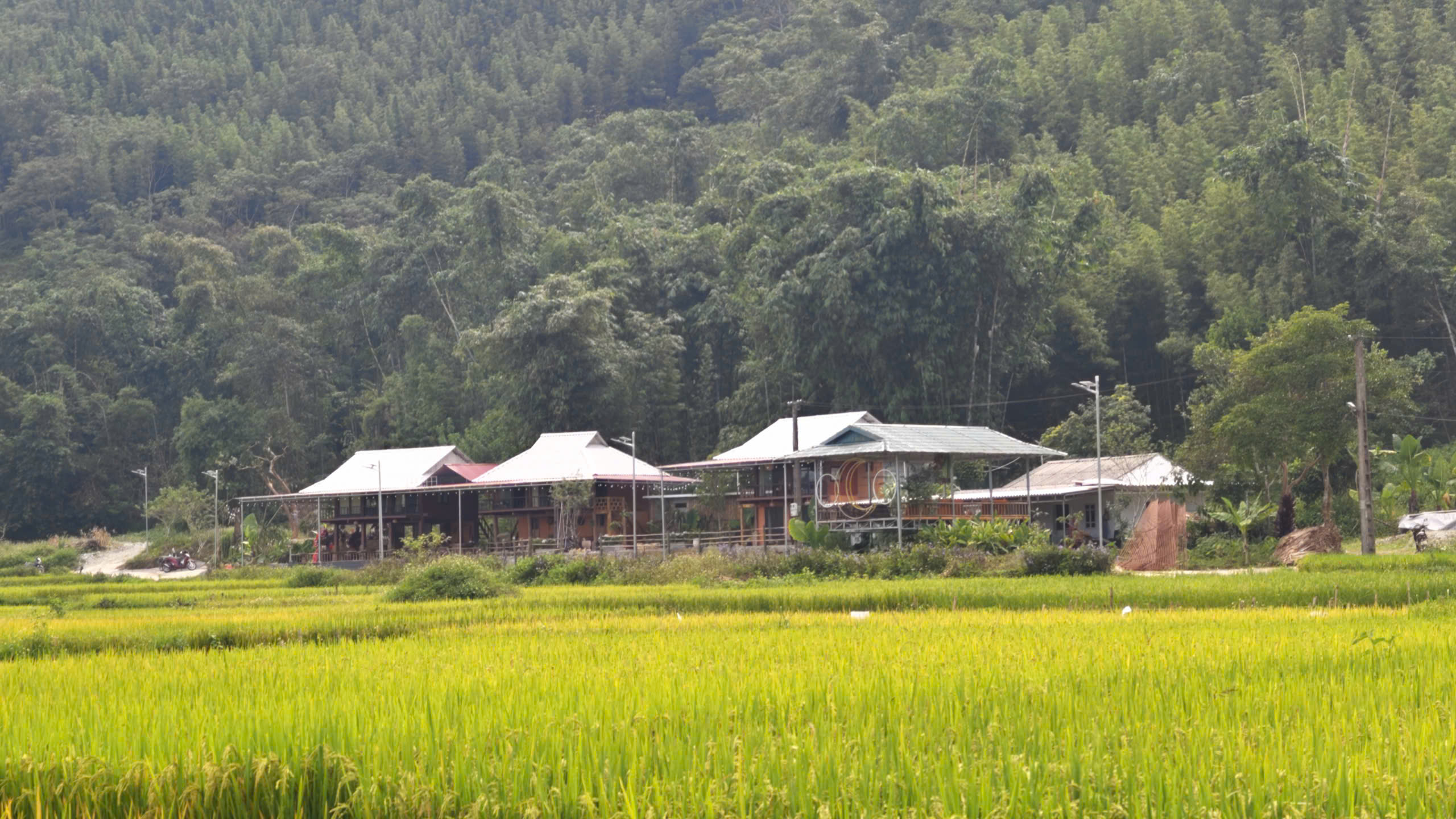 Một góc Vân Sơn. Ảnh: Huy Thông - ảnh 5