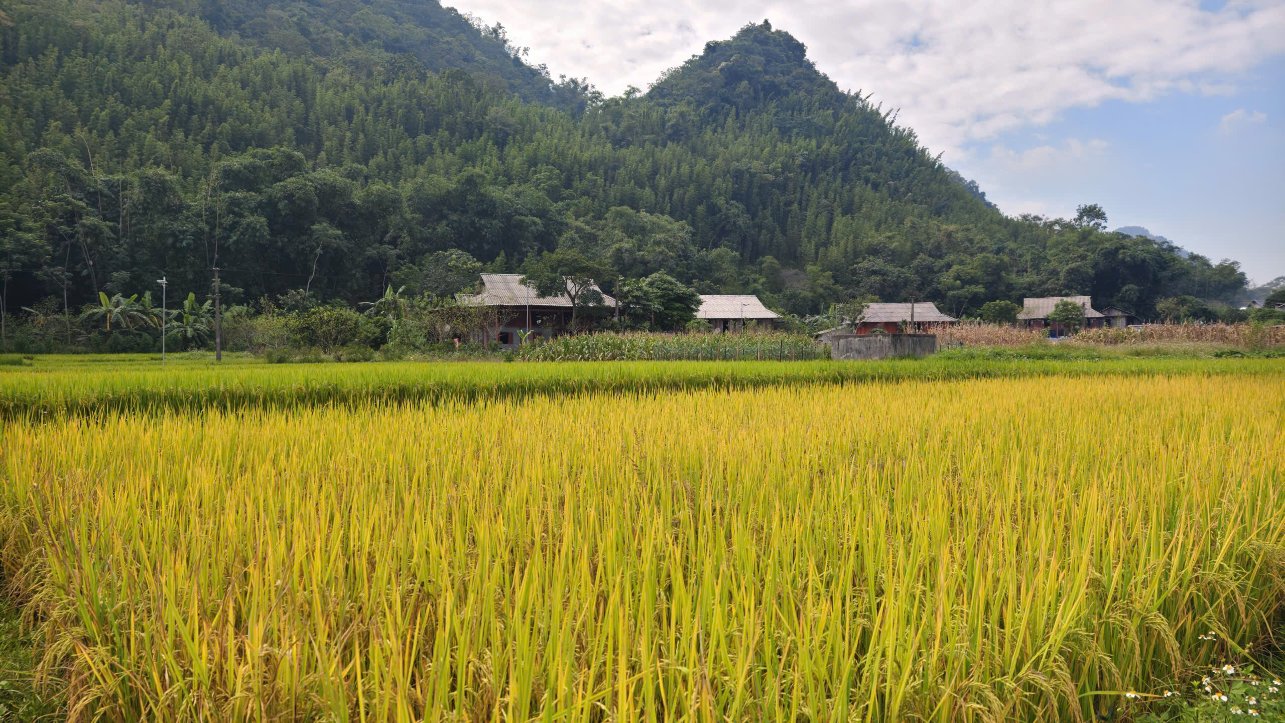 Một góc Vân Sơn. Ảnh: Huy Thông - ảnh 4