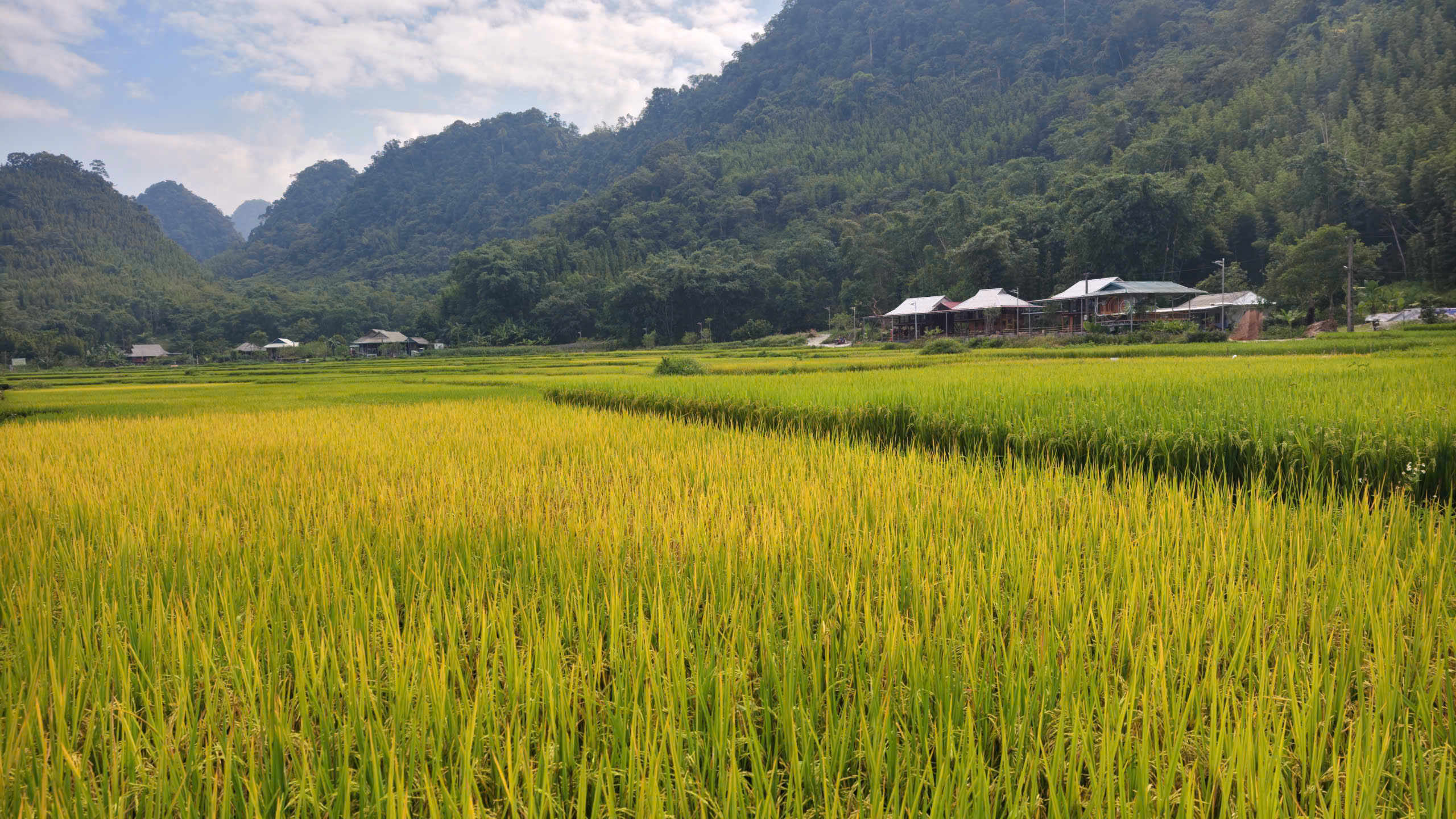Một góc Vân Sơn. Ảnh: Huy Thông - ảnh 3