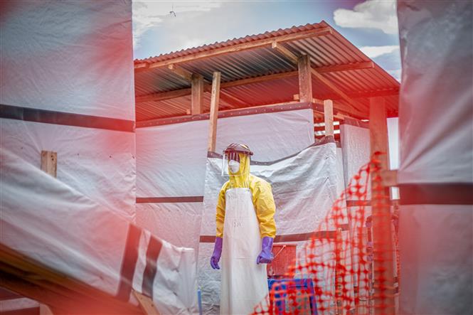 Ngăn dịch Ebola xâm nhập qua đường hàng không - Ảnh 1. Ngăn dịch Ebola xâm nhập qua đường hàng không - Ảnh 1.