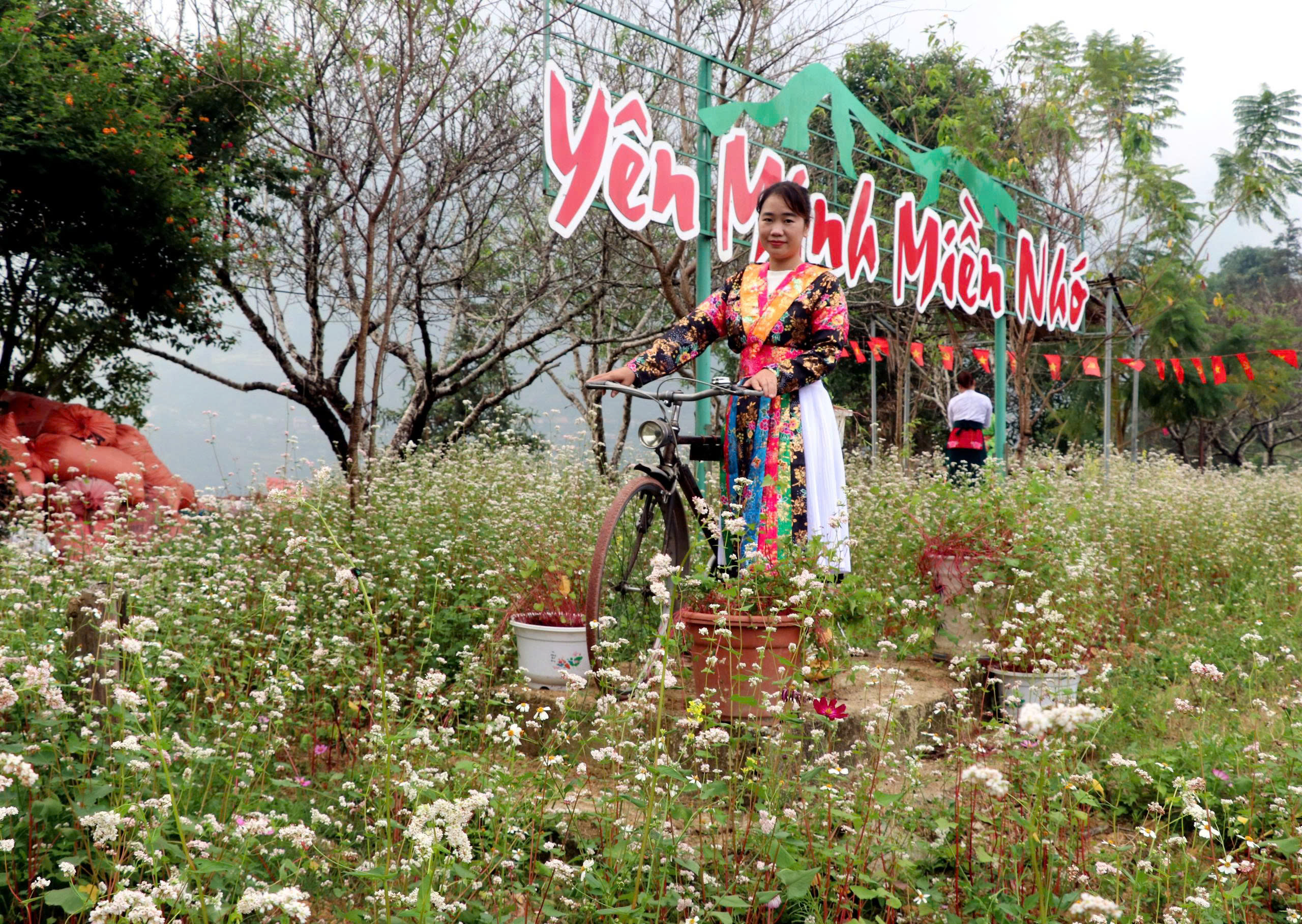 Lễ hội Hoa Tam giác mạch mở màn với đêm nghệ thuật "Âm vang miền đá" - Ảnh 3. Lễ hội Hoa Tam giác mạch mở màn với đêm nghệ thuật "Âm vang miền đá" - Ảnh 3.