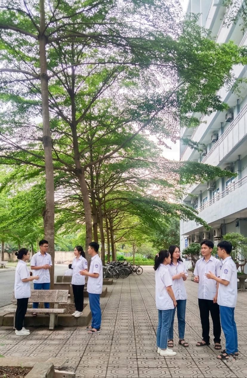 Chung kết Olympia năm thứ 26: Hai trường chuyên lần đầu có điểm cầu truyền hình - Ảnh 7. Chung kết Olympia năm thứ 26: Hai trường chuyên lần đầu có điểm cầu truyền hình - Ảnh 7.