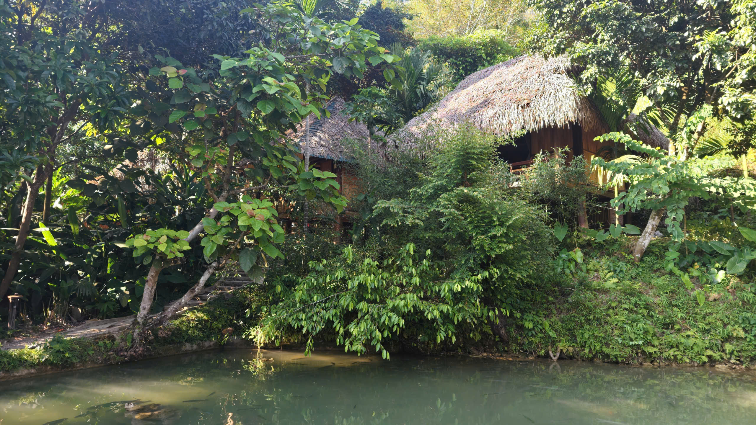 Một Homestay ẩn mình giữa rừng cây xanh mát ở Cổ Lũng. Ảnh: Huy Thông