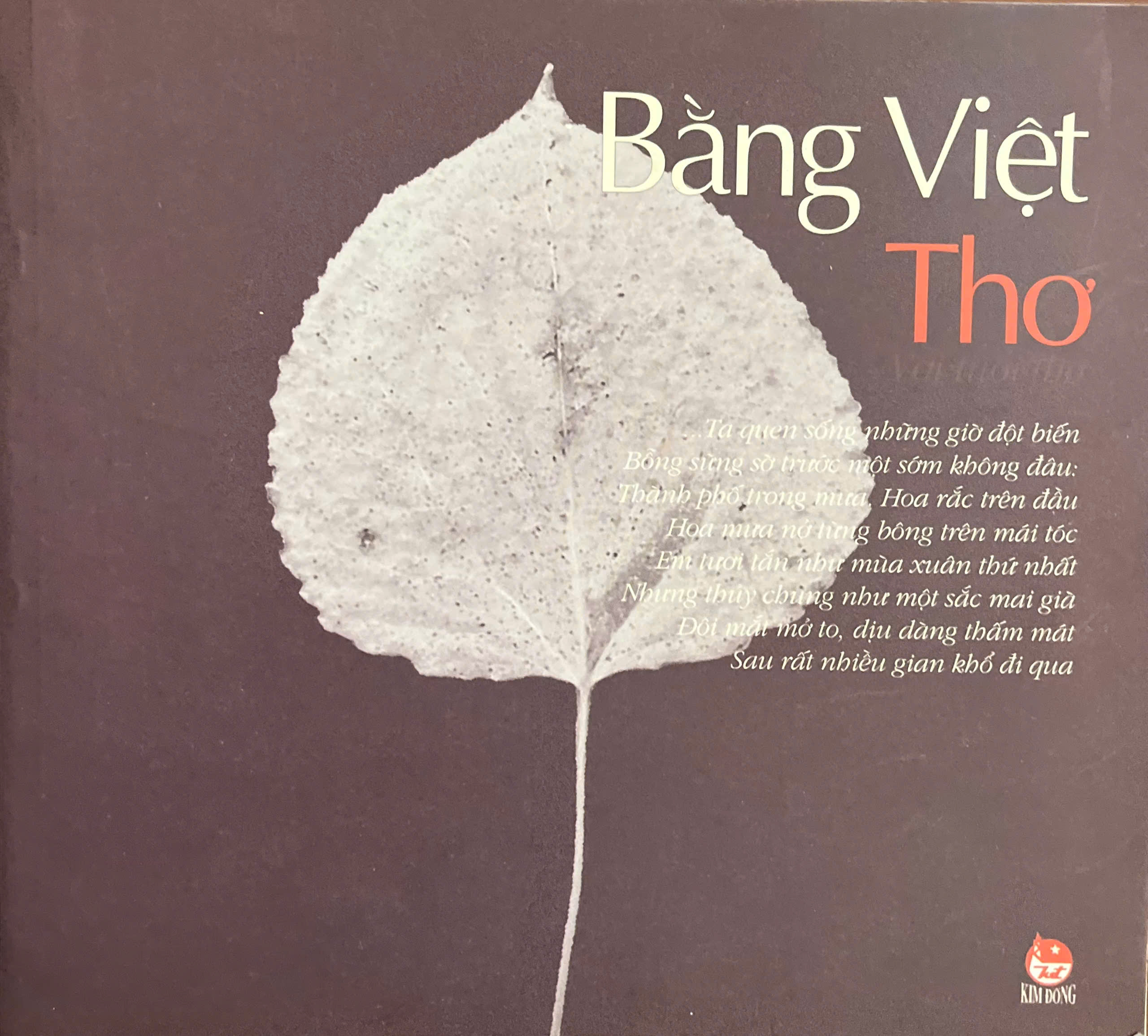 Hình ảnh trong album