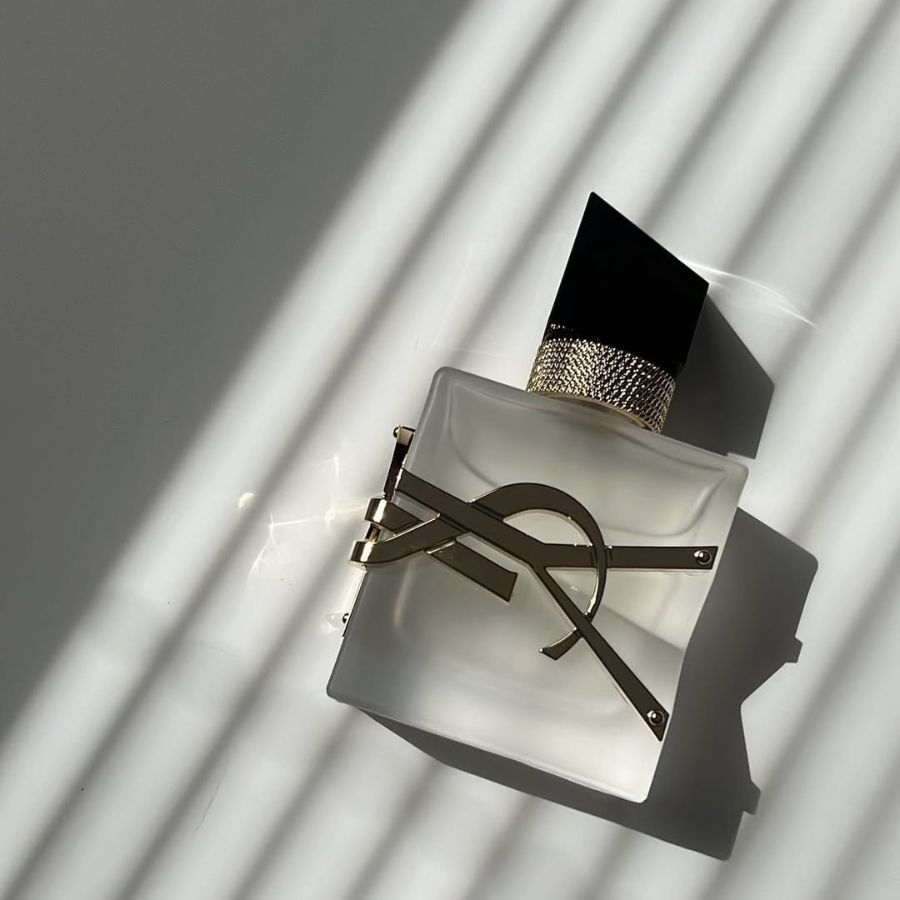 Vì sao nước hoa Yves Saint Laurent được yêu thích tại The Perfumes - Ảnh 3. Vì sao nước hoa Yves Saint Laurent được yêu thích tại The Perfumes - Ảnh 3.