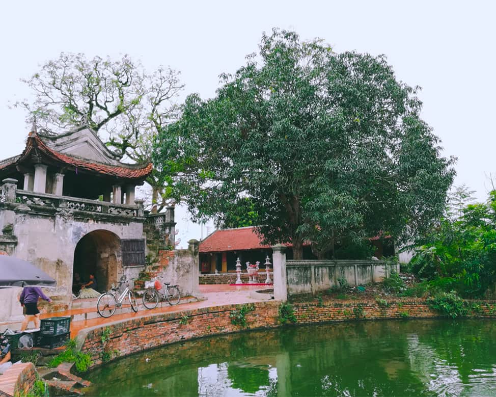 Nón lá Làng Chuông: Từ cánh đồng bước đến Hội chợ Mùa Xuân - Ảnh 1.