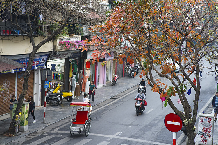 Dự báo thời tiết ngày 11/2: Nền nhiệt tăng, thời tiết ấm dần ở Bắc Bộ, Bắc Trung Bộ - Ảnh 1.