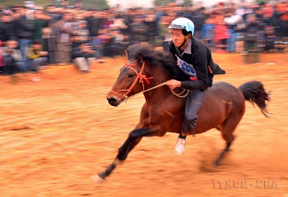 Hình tượng con ngựa - biểu trưng cho sự kiên cường, bền bỉ và tinh thần “mã đáo thành công” - Ảnh 11.