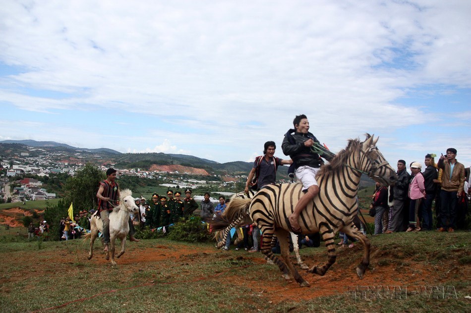 Hình tượng con ngựa - biểu trưng cho sự kiên cường, bền bỉ và tinh thần “mã đáo thành công” - Ảnh 10.
