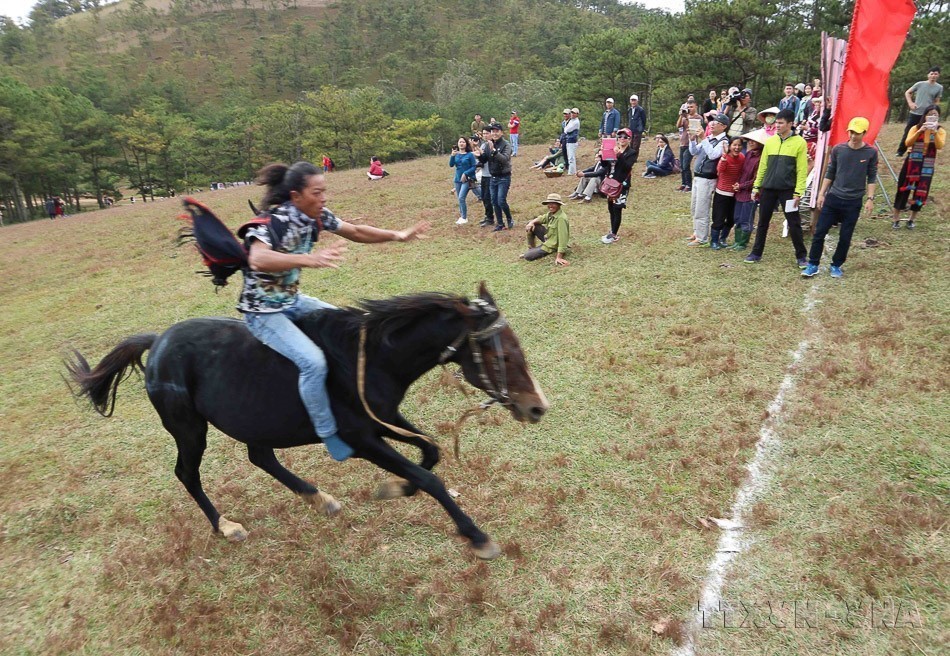 Hình tượng con ngựa - biểu trưng cho sự kiên cường, bền bỉ và tinh thần “mã đáo thành công” - Ảnh 9.