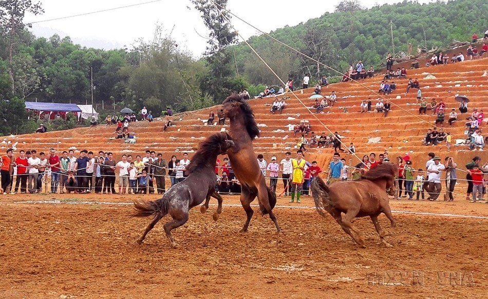 Hình tượng con ngựa - biểu trưng cho sự kiên cường, bền bỉ và tinh thần “mã đáo thành công” - Ảnh 7.