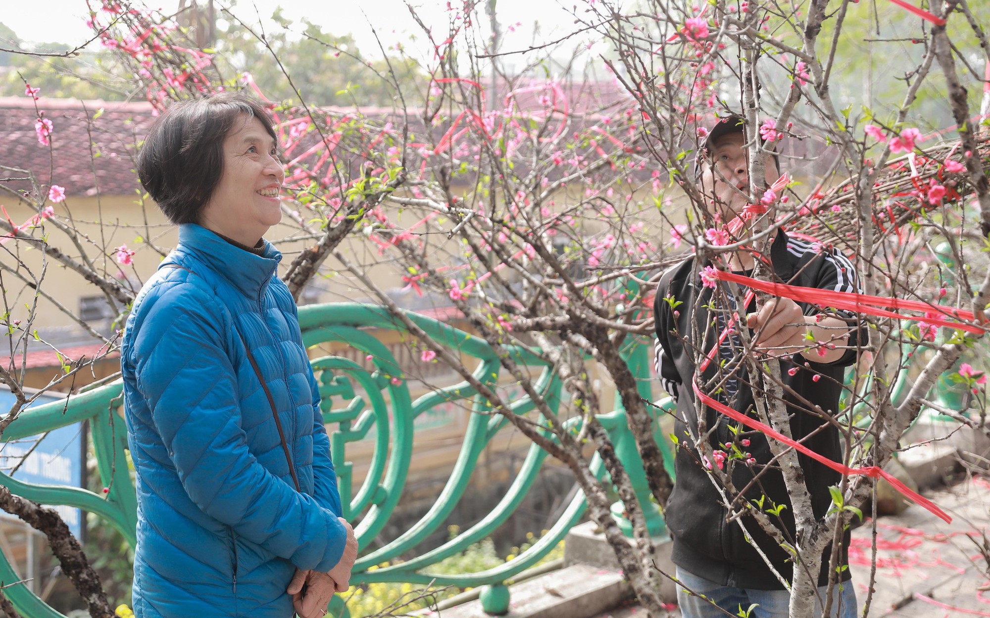 Tiểu thương thấp thỏm vì sức mua đào, quất giảm