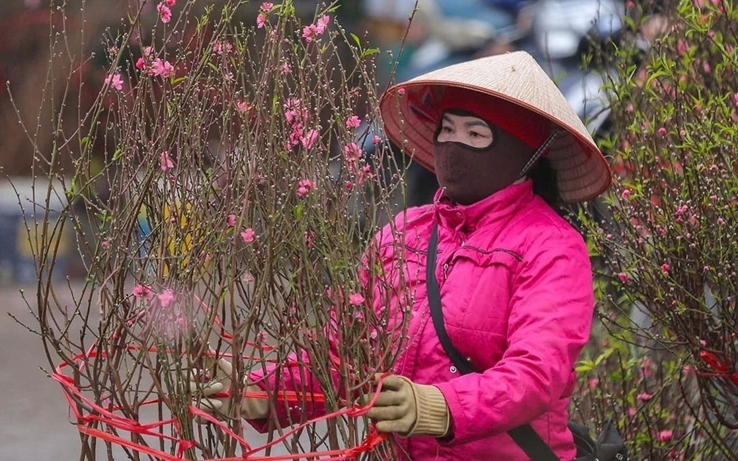 Dự báo thời tiết ngày 12/2: Bắc Bộ, Bắc Trung Bộ duy trì tình trạng rét về đêm và sáng sớm