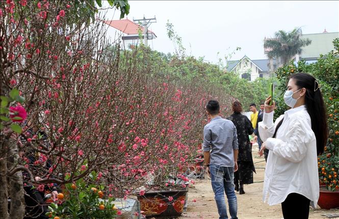 Tết Nguyên Đán 2026: Nét đẹp văn hóa của người Việt - Ảnh 2.