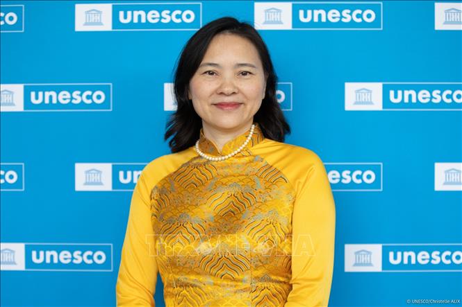 Việt Nam đề nghị UNESCO đối xử ưu đãi với các nước đang phát triển - Ảnh 1.