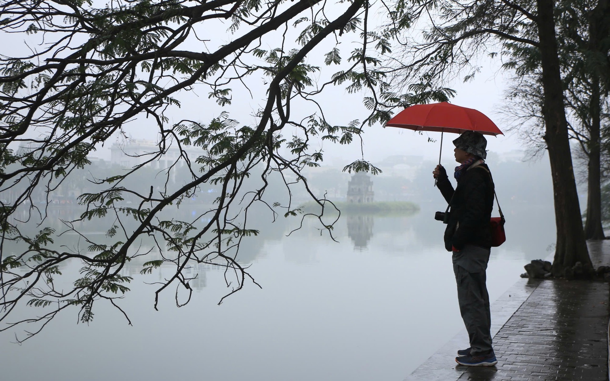 Thời tiết ngày mùng 6 Tết: Miền Bắc có mưa, sương mù, trời rét