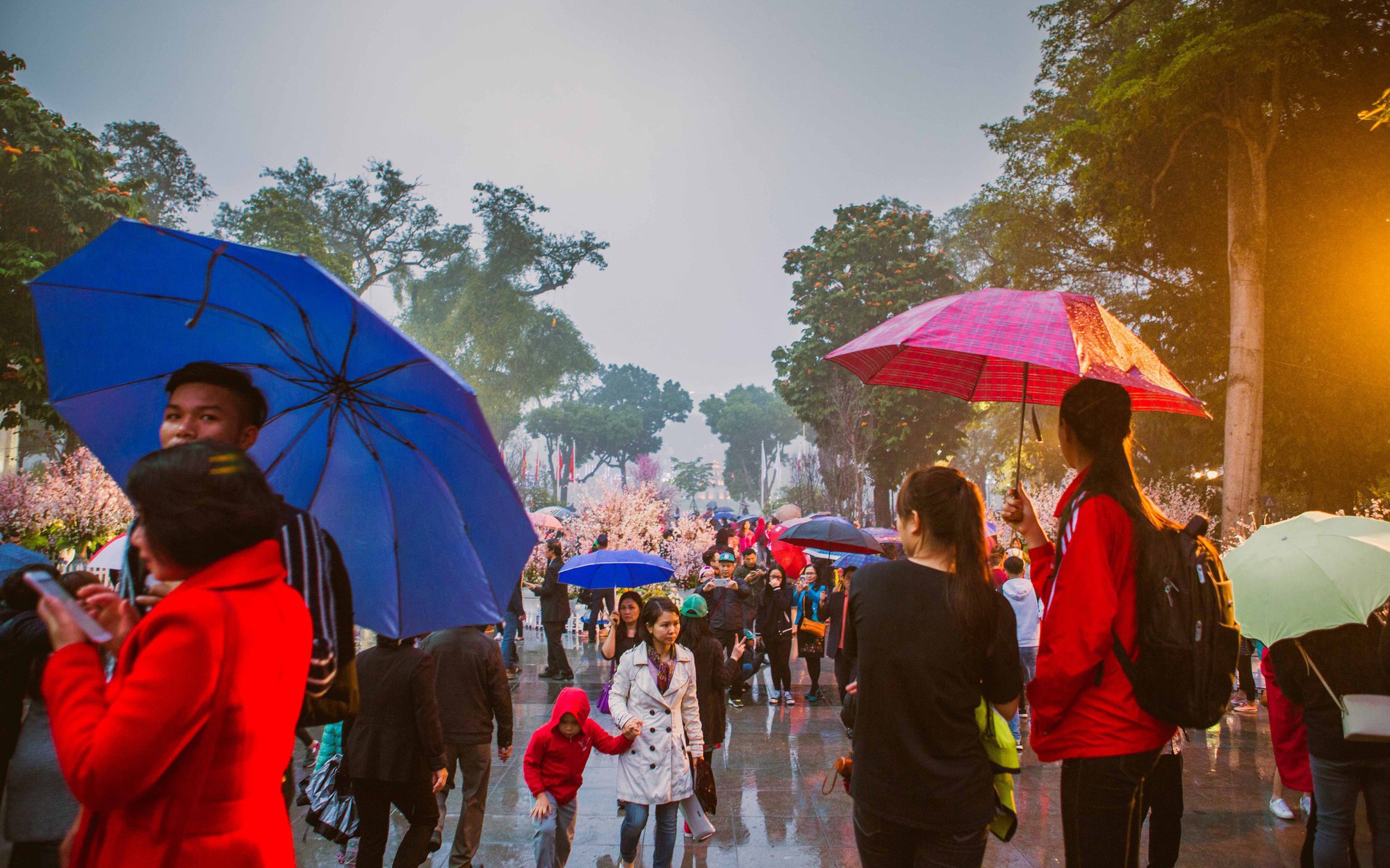 Dự báo thời tiết ngày 24/2: Mưa rải rác ở Bắc Bộ, Nam Bộ có dông chiều tối