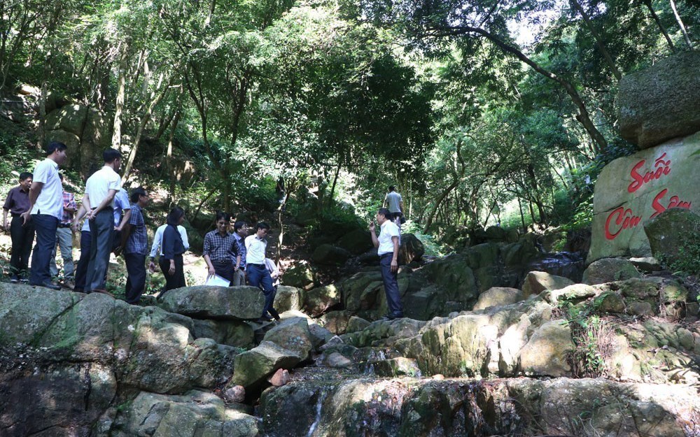 Phục hồi suối Côn Sơn, tạo điểm nhấn cho Di sản thế giới Côn Sơn - Kiếp Bạc