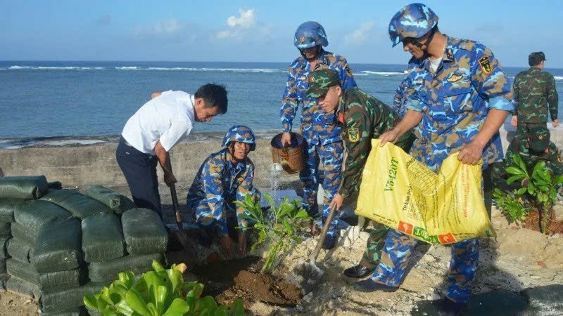Chương trình "Xanh hóa Trường Sa" - Ảnh 3. Chương trình "Xanh hóa Trường Sa" - Ảnh 3.