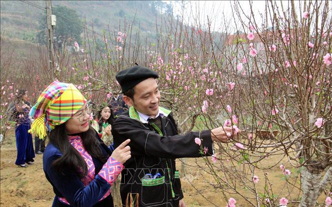 Thời tiết dịp nghỉ Tết Nguyên đán Bính Ngọ: Khu vực Bắc Bộ trưa chiều trời nắng