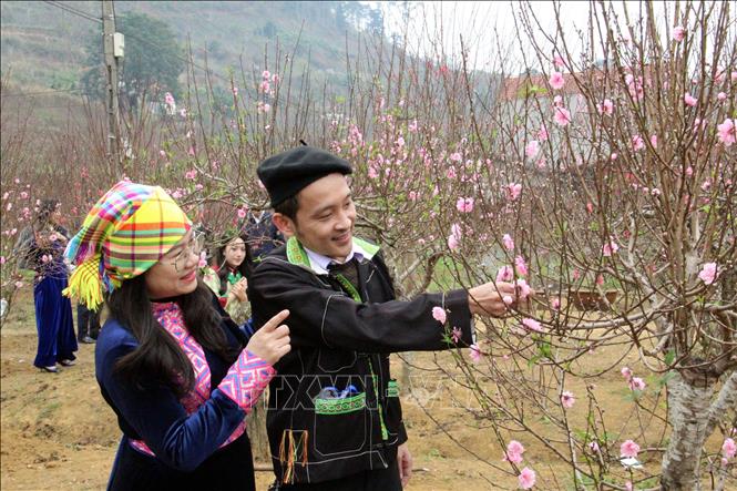 Thời tiết dịp nghỉ Tết Nguyên đán Bính Ngọ: Khu vực Bắc Bộ trưa chiều trời nắng - Ảnh 1.