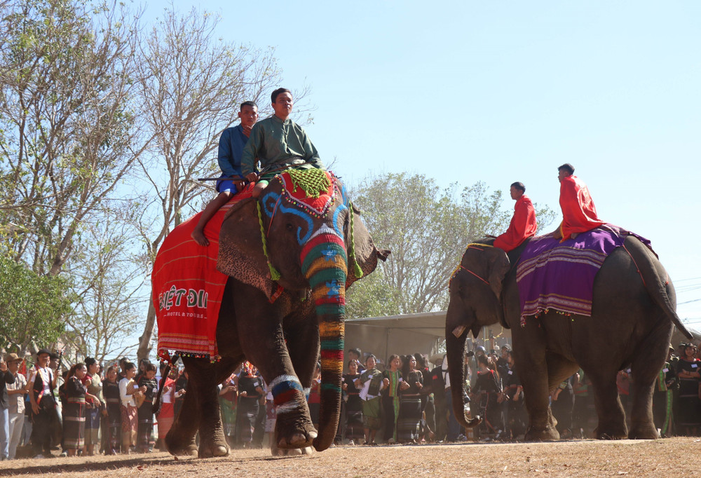 Buôn Ma Thuột có gì chơi? Những địa điểm đẹp và độc đáo giữa lòng Tây Nguyên - Ảnh 3.